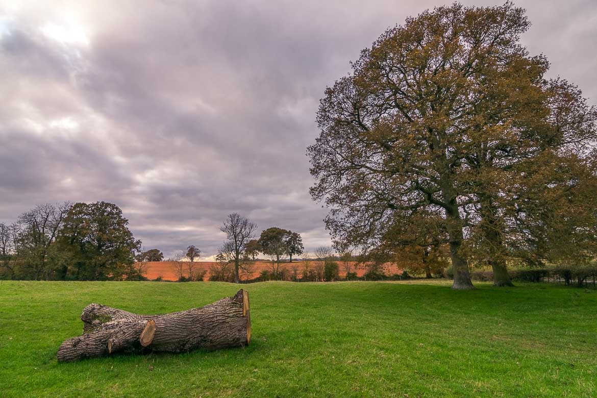 This is a shot of the countryside at the Cotswolds. There are fields of green and golden brown as well as tall trees.