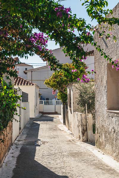 This image shows a quaint alley in Elafonisos town with traditional buildings and brightly coloured bougainvilleas. 