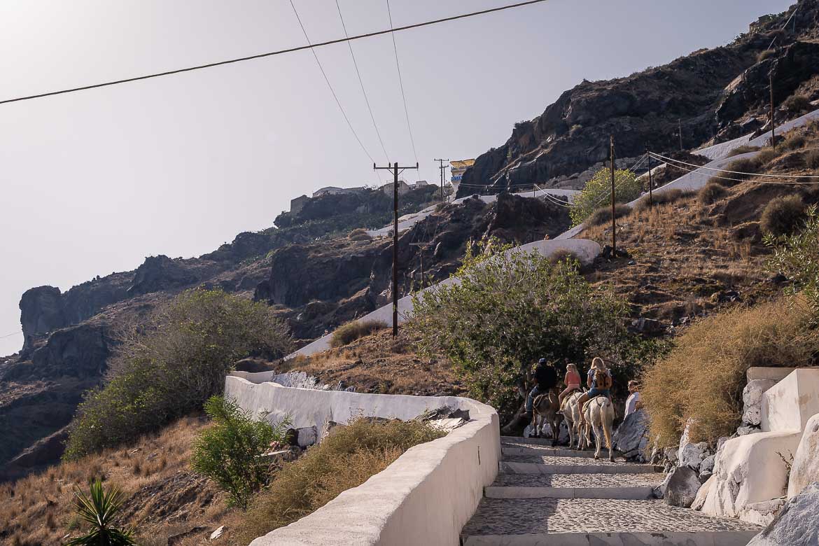 Tourists on donkeys climbing the uphill stairway to Thirassia's village.