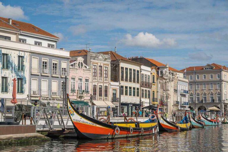 A row of beautiful buildings along the river and colourful moliceiro boats on the water.