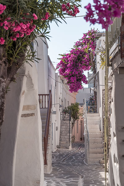 This is a photo of a quaint alley in Parikia Old Town. There are charming whitewashed buildings on both sides of the street and brightly coloured bougainvilleas hanging over them. 