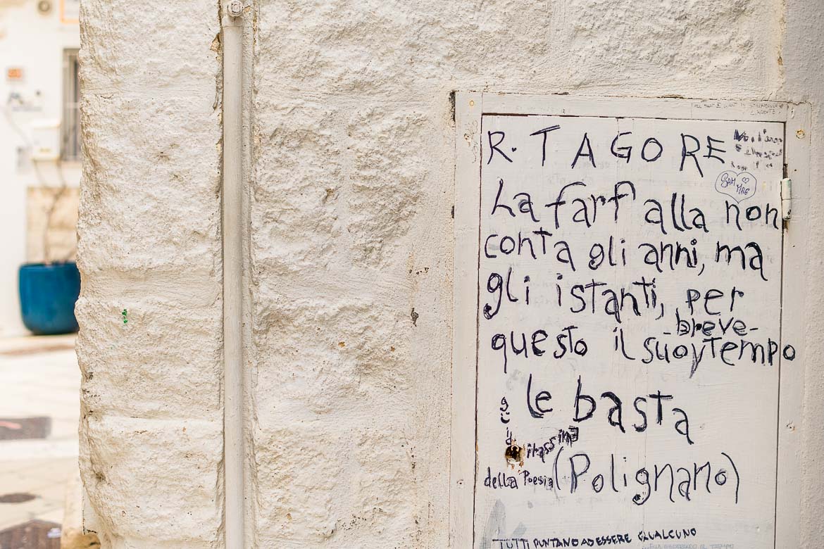 This is a close up of a poem written on a small metal door on the wall. It reads: La farfalla non conta gli anni ma gli istanti, per questo il suo breve tempo le basta. This translates to: the butterfly does not count the years but the moments, for this reason its short time is enough.