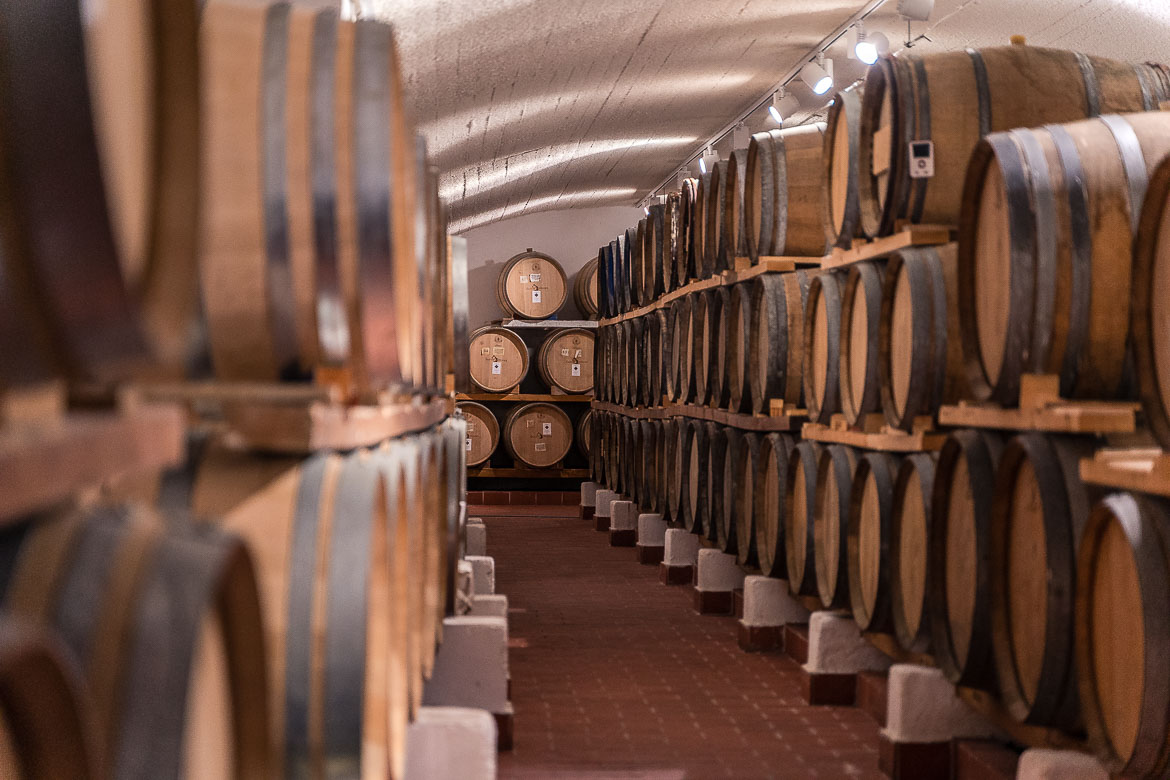 This image shows a row of barrels in the cellar of Santo Wines.